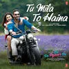  Tu Mila To Haina - De De Pyaar De Poster