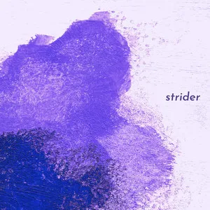  strider Song Poster